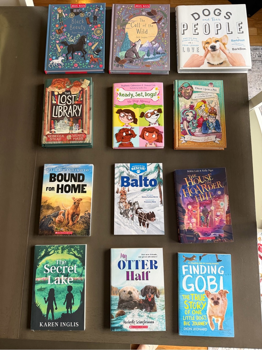Assorted Children's Chapter Books Book Lot - Mixed Colors